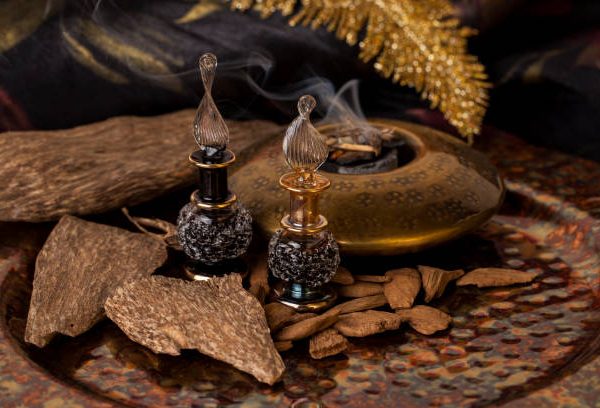 Agarwood, also called aloeswood, essential oil and incense chips